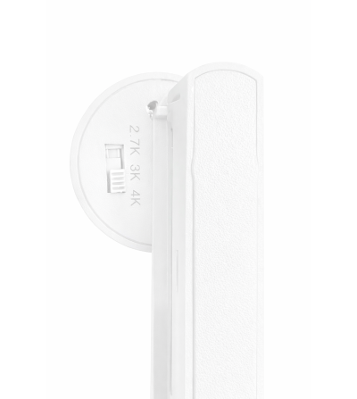 FOCO CARRIL ANT 6W CCT SWITCH BLANCO MONOFÁSICO  
