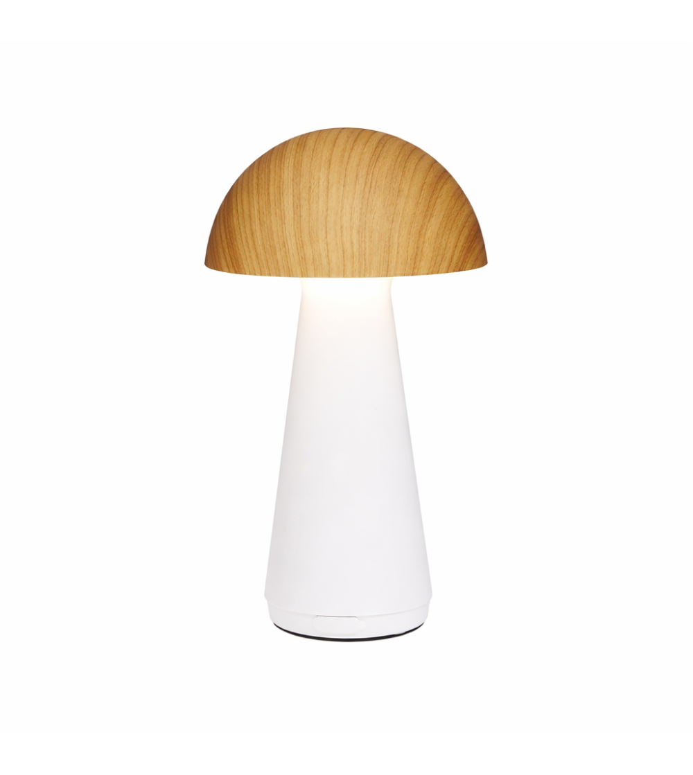 SOBREMESA NEPAL 3W 3000K TOUCH BLANCO HAYA IP44