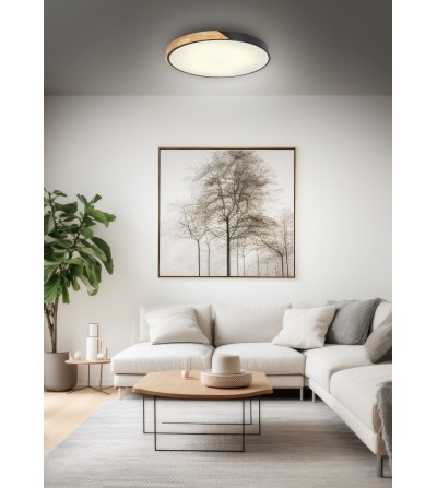 PLAFON NORWAY 72W 3K-4K-6K 5400lm 500mm