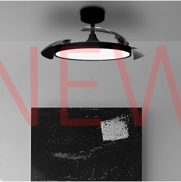 FAN & LIGHT 2024